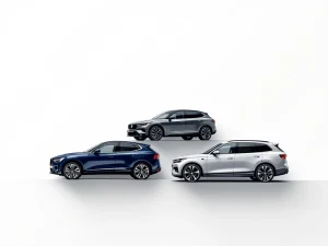 Drie auto silhouetten in diagonale formatie: compacte stadsauto, sedan en SUV met gouden prijslabels op witte achtergrond
