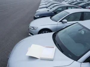 Vloot bedrijfsauto's in geometrische opstelling met een open verzekeringsdossier op de motorkap, zachte bewolkte belichting.